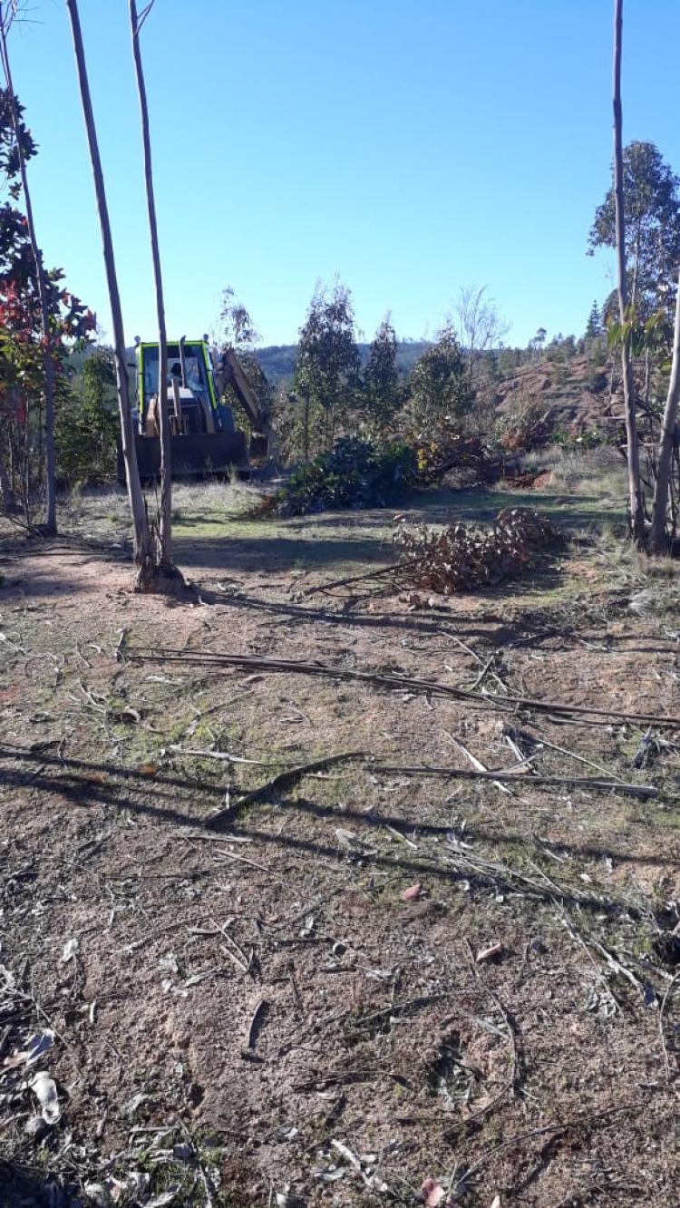 Foto Parcela en Venta en sector las viñas de la comuna de paredones, Pichilemu, Cardenal Caro - $ 6.000.000 - PAV83241 - BienesOnLine