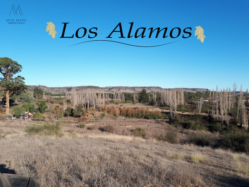 PARCELAS DE AGRADO CON ARMONICO PAISAJE, LITUECHE