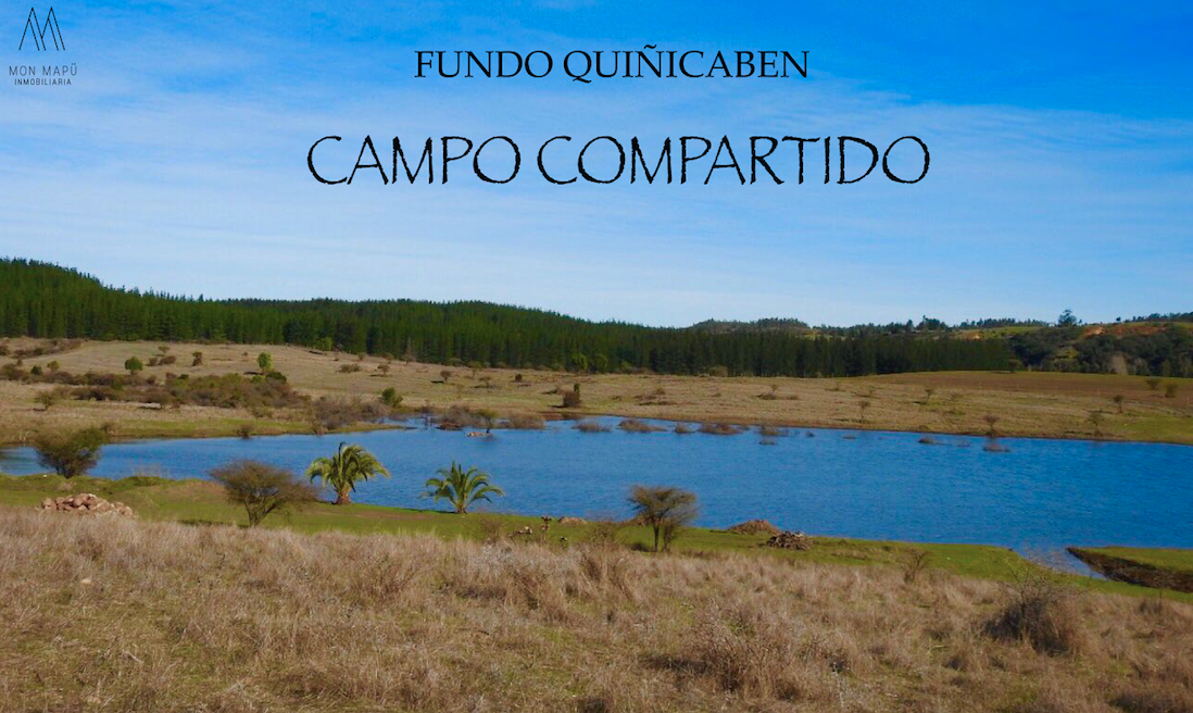 Foto Parcela en Venta en Litueche, Cardenal Caro - $ 37.000.000 - PAV78977 - BienesOnLine