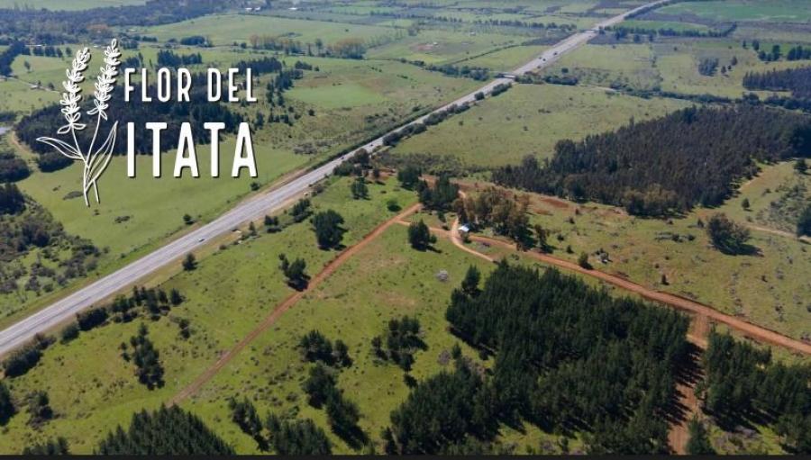 Foto Terreno en Venta en rucapequen, Ñuble - $ 17.990.000 - TEV137747 - BienesOnLine