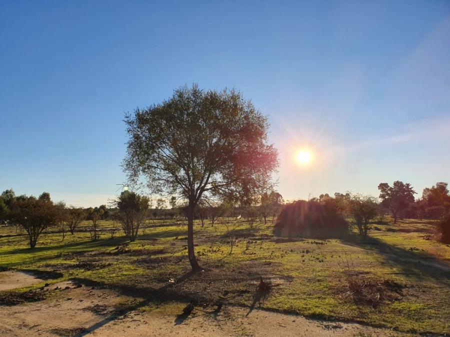 Foto Parcela en Venta en 10 minutos de Marchigue, Cardenal Caro, Cardenal Caro - $ 10.490.000 - PAV94388 - BienesOnLine