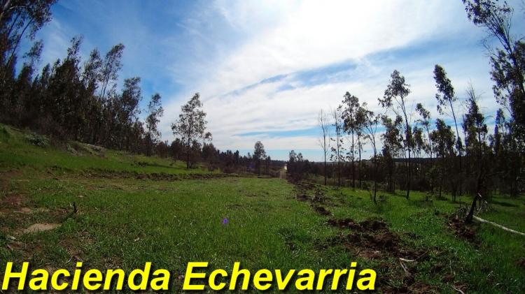 Foto Parcela en Venta en Litueche, Cardenal Caro - $ 8.500.000 - PAV69932 - BienesOnLine