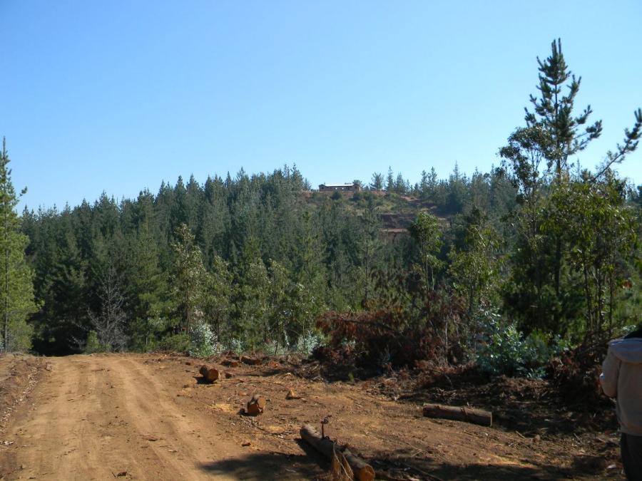 Pichilemu Sector Alto Ramírez