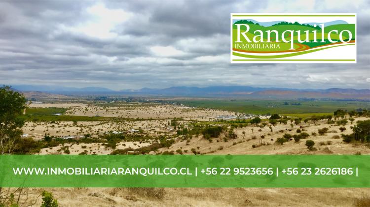 Foto Parcela en Venta en marchigue, ruta H-20, Cardenal Caro - 1 hectareas - $ 7.990.000 - PAV78403 - BienesOnLine