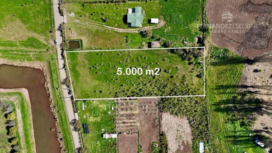 RINCONADA DE SILVA - VENDE TERRENO DE 5.000m2 - SECTOR TABOLANGO