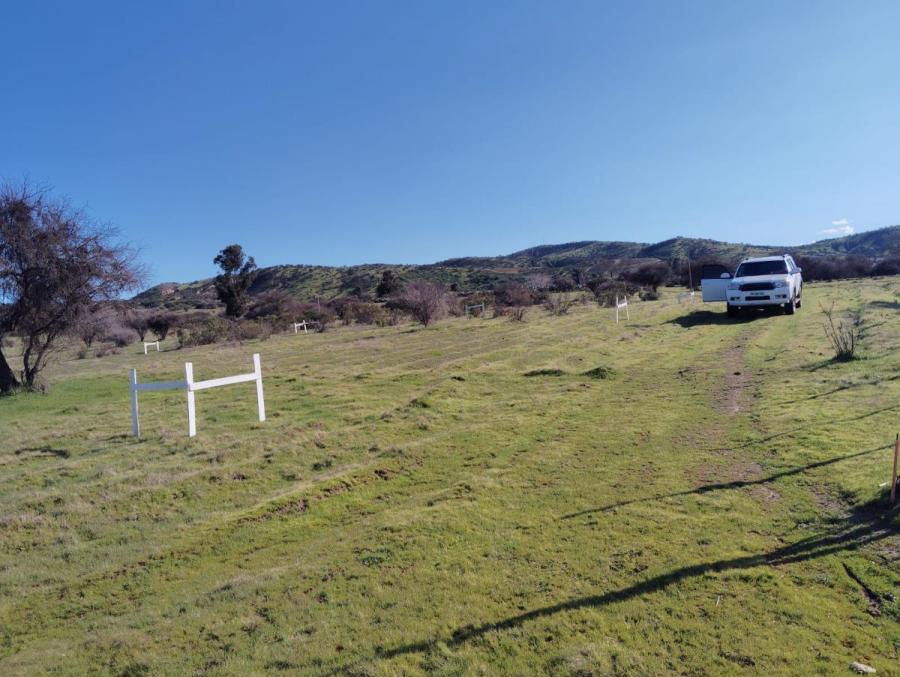 Se venden 4 há  de terreno en San Pedro , Melipilla