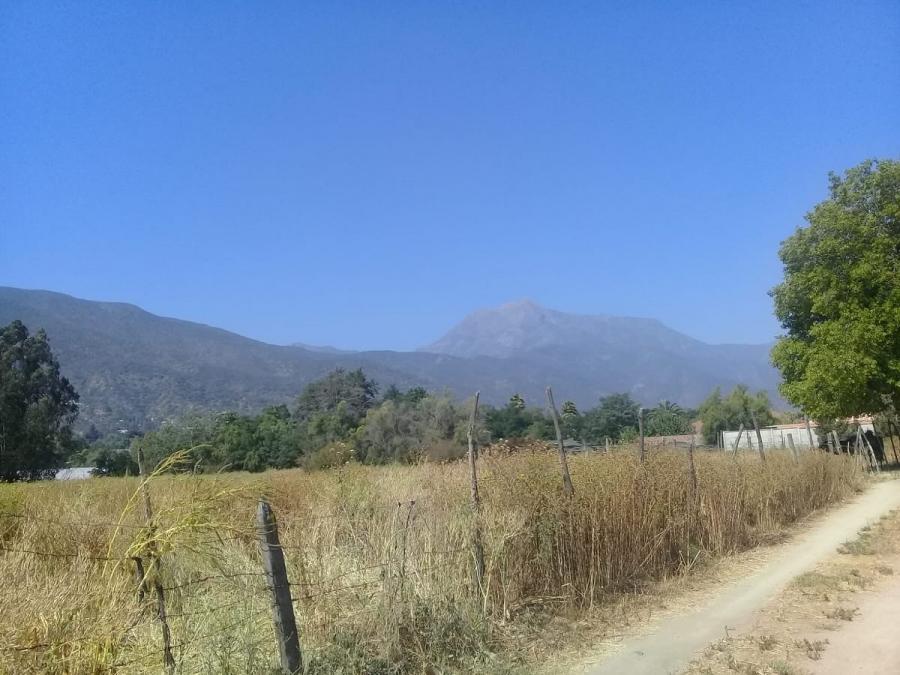 Terreno en venta en Avenida Eastman en Olmue.