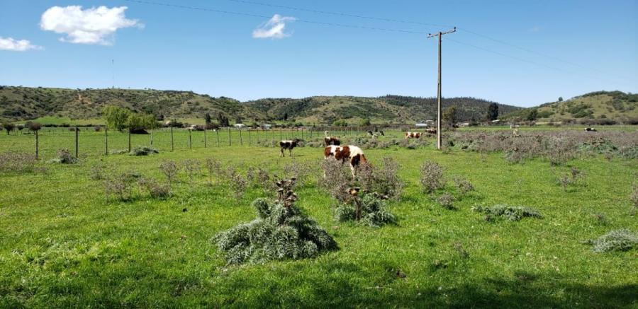 Terrenos planos, 5000 m2 con Rol propio.