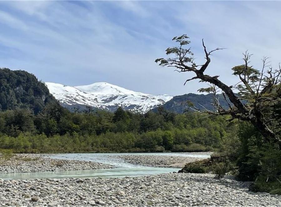 Foto Agricola en Venta en Municipalidad de Río Ibañez, Alto Río Murta, Aisen - 1 hectareas - $ 7.000.000 - AGV142184 - BienesOnLine