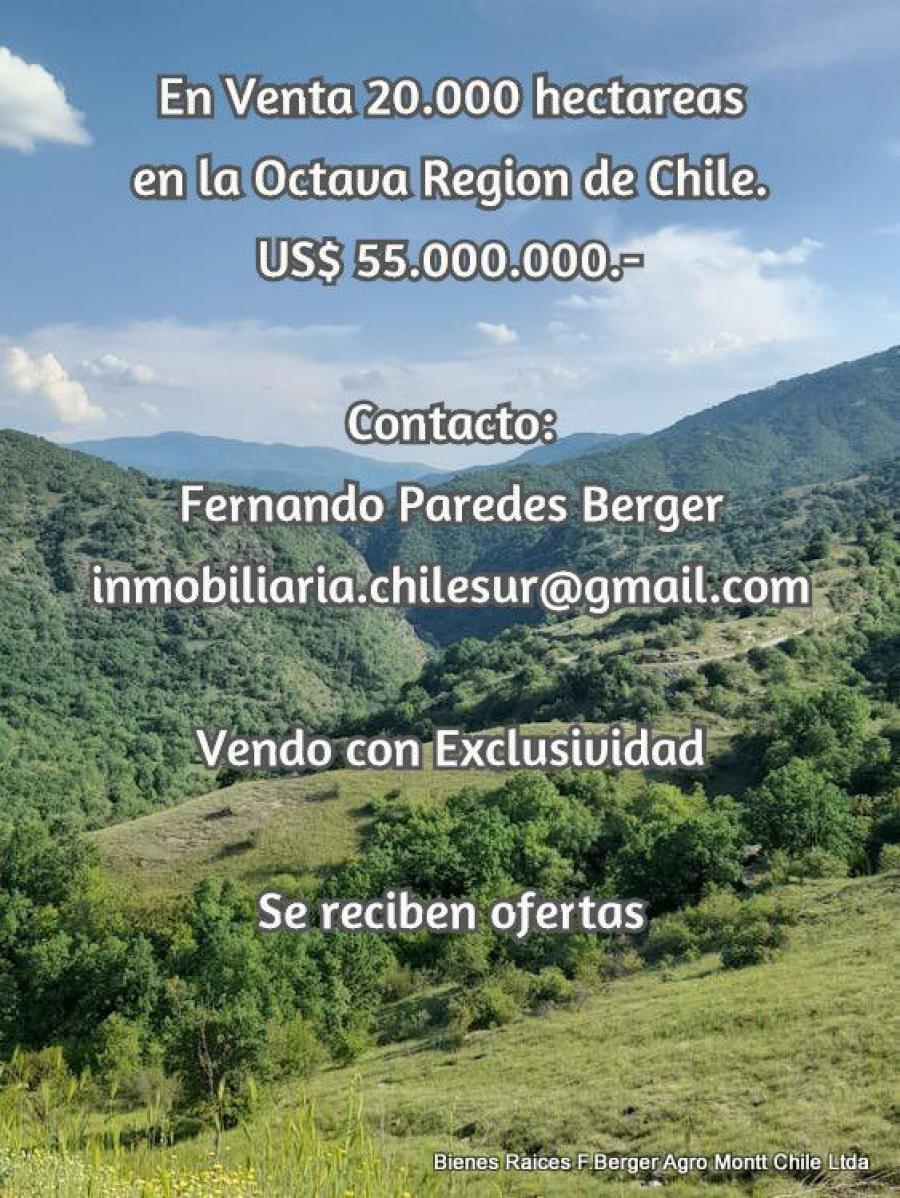 Foto Agricola en Venta en Alto Biobio, Biobio - 20000 hectareas - UFs 1.100.000 - AGV152149 - BienesOnLine