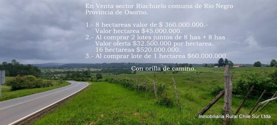 Agricola en Venta en  Río Negro, Osorno