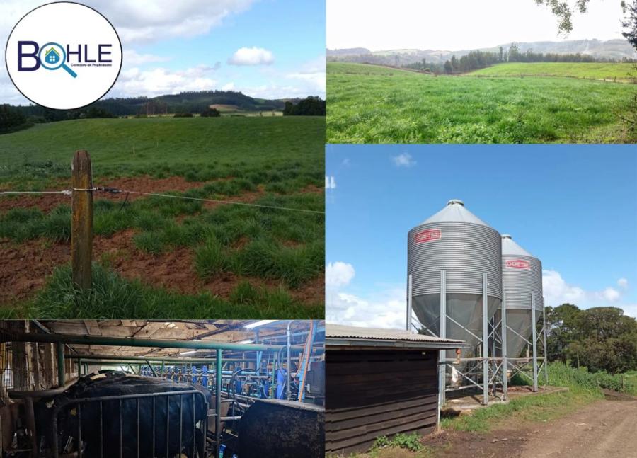 Foto Agricola en Venta en Osorno, Osorno - 462 hectareas - UFs 122.866 - AGV151865 - BienesOnLine