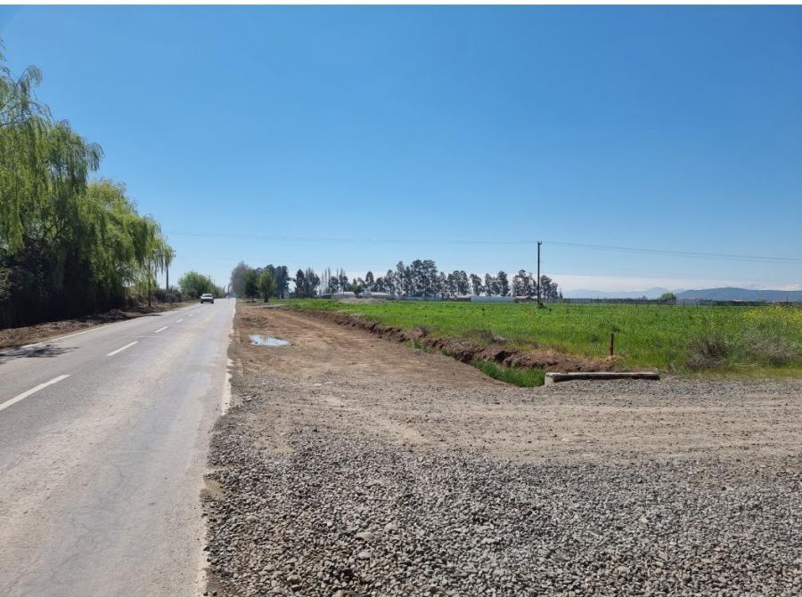 Foto Agricola en Venta en Sector La Raya, San Clemente, Talca - $ 40.000.000 - AGV127758 - BienesOnLine