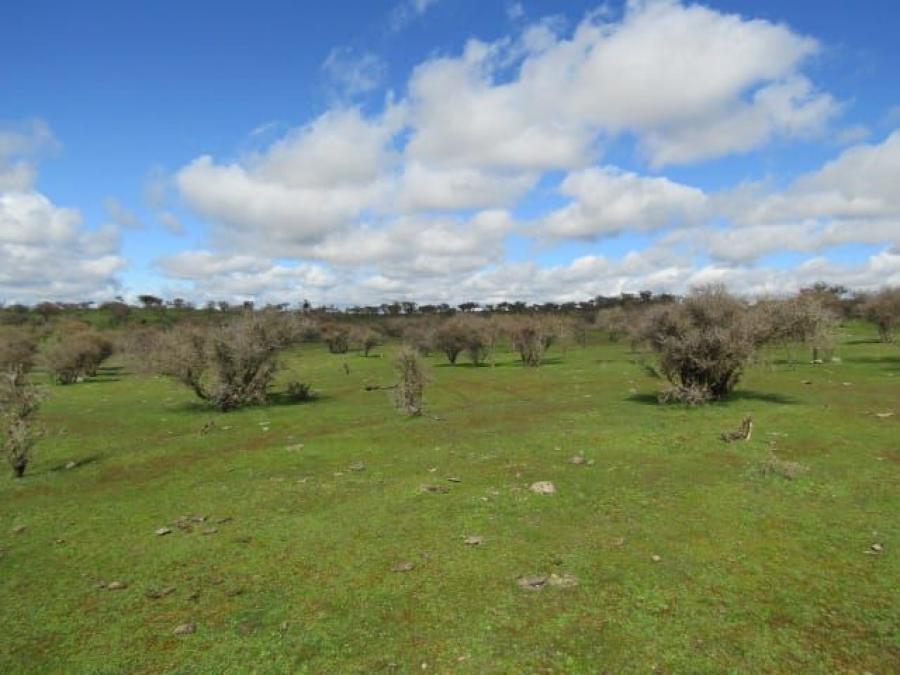 Foto Terreno en Venta en La Estrella, Cardenal Caro - $ 20.000.000 - TEV152681 - BienesOnLine