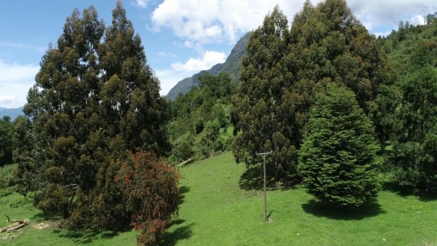 Foto Terreno en Venta en Los Rios, Lago Ranco, Valdivia - 1 hectareas - $ 100.000.000 - TEV150407 - BienesOnLine