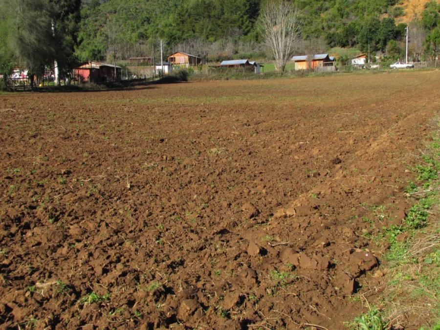 Vendo Parcela en Upeo, Curicó - Espacio Ideal para Construir tu Sueño