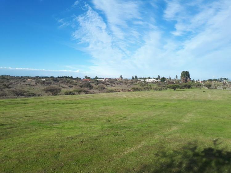 Vendo parcela PLANA de 5000 m2 a 100 Km al sur de Santiago por la ruta 78. 