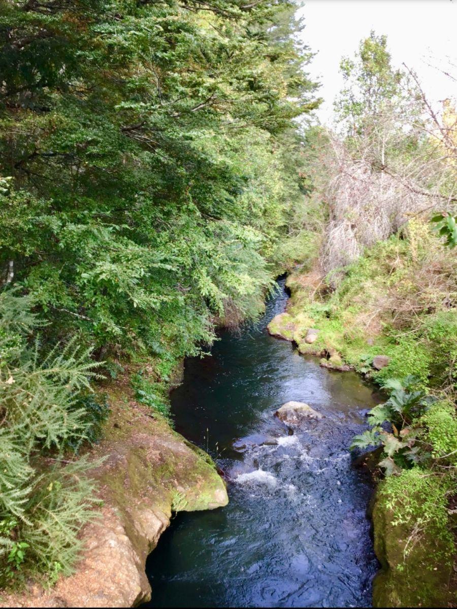 vendo parcelas en Villarrica, sector Huincacara