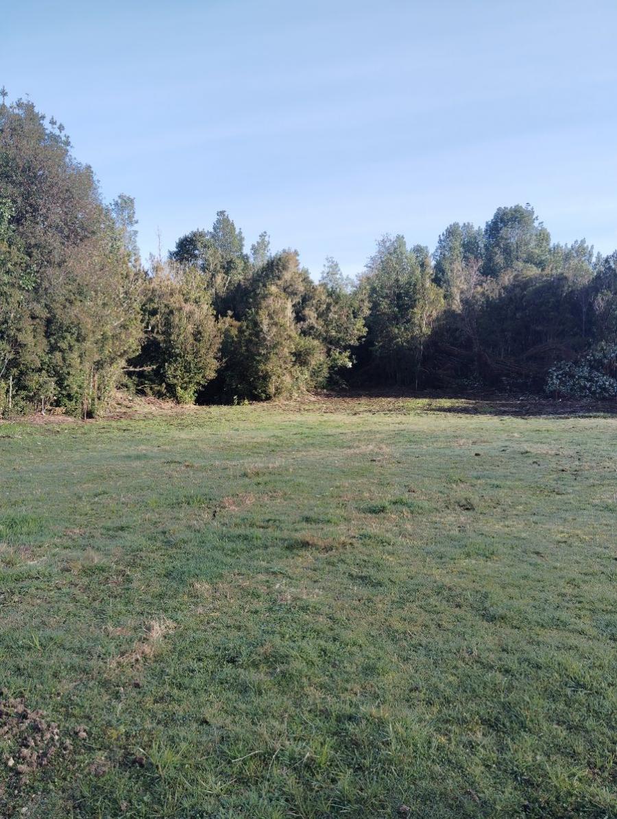 Foto Terreno en Venta en Rural, Linao, Chiloe - 5 hectareas - $ 75.000.000 - TEV153080 - BienesOnLine