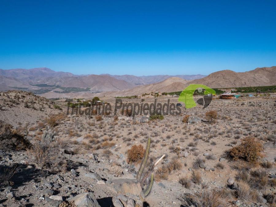 Foto Parcela en Venta en Valle del Elqui, Vicua, Elqui - $ 60.000.000 - PAV151982 - BienesOnLine