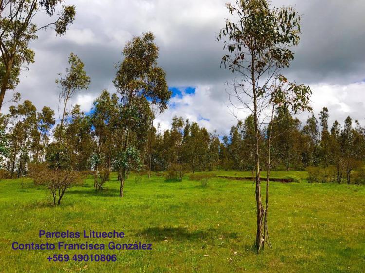 VENTA PARCELAS EN LITUECHE ATRACTIVAS Y DE AGRADO