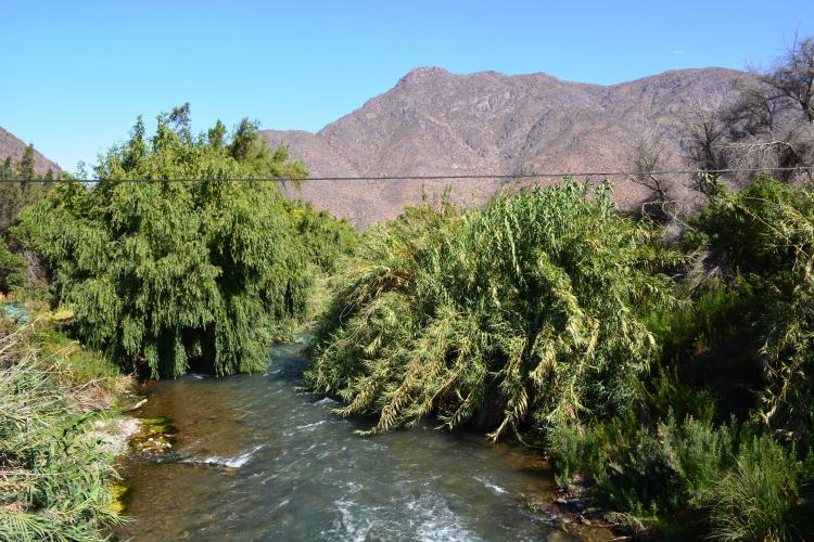 Ventas parcelas Valle del Elqui