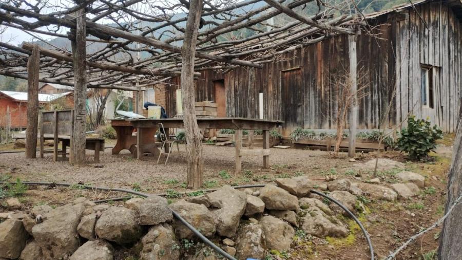 Vive en la Tranquilidad del Campo: Vendo Parcela con Casa en Upeo, Curicó