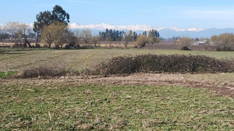 Foto Agricola en Venta en Curicó, Curicó - $ 200.000.000 - AGV152462 - BienesOnLine