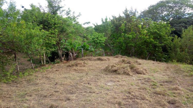 Vendemos lote de 2996 m2 a 2 km de San Luis – Tolima