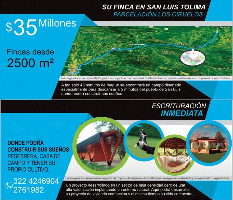 Vendo lote de 2500 m2 en San Luis – Tolima 