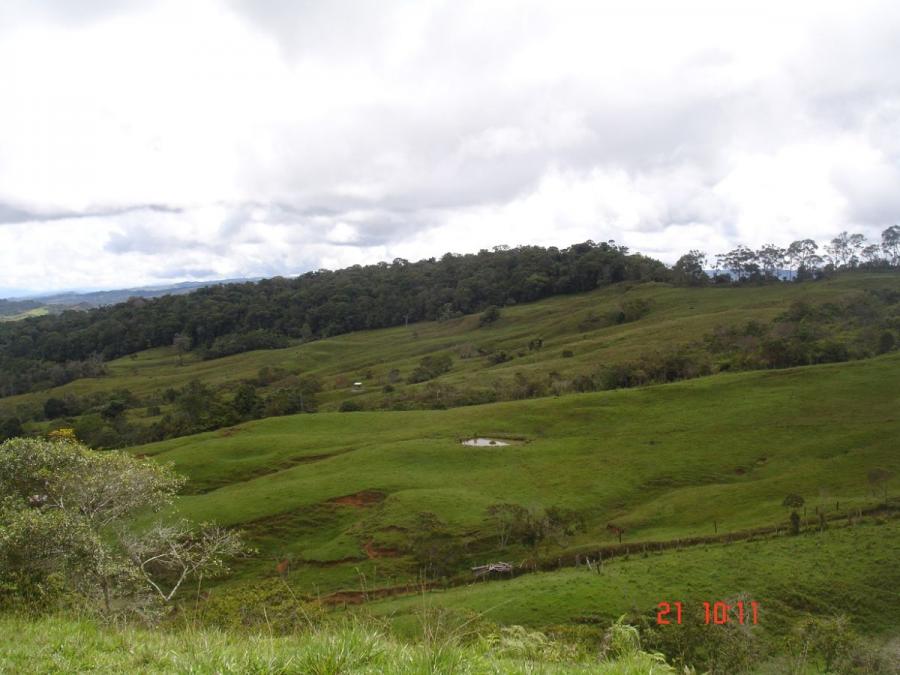 Foto Finca en Venta en Vereda GAD, Suaita, Santander - $ 2.000.000.000 - FIV185648 - BienesOnLine