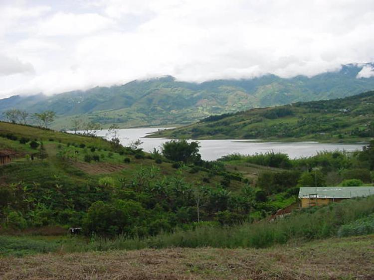 Vendo Finca en Lago Calima Valle