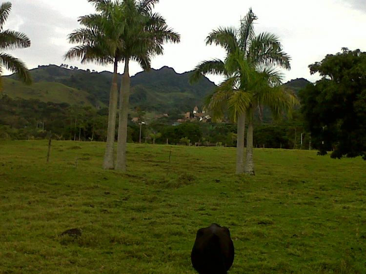 Foto Lote en Venta en Tarso, Antioquia - 3 hectareas - $ 550.000.000 - LOV37508 - BienesOnLine