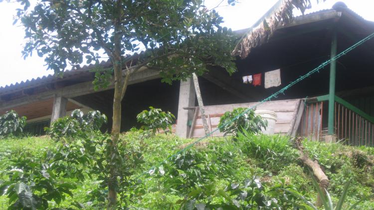 Foto Finca en Venta en los alpes, Tuluá, Valle del Cauca - $ 45.000.000 - FIV32401 - BienesOnLine