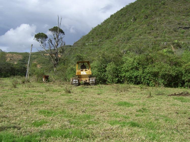 a orilla del rio cane