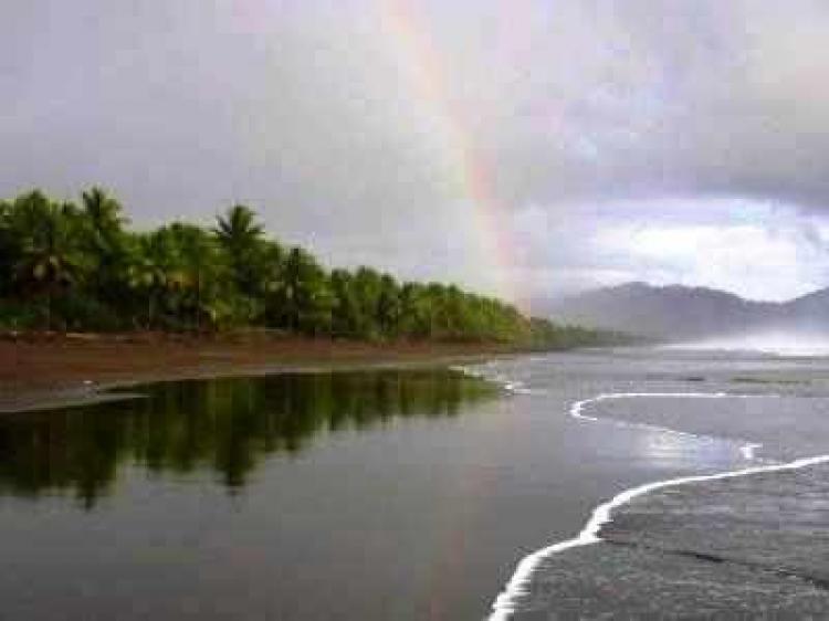 SE VENDE FINCA JUNTO AL MAR EN EL CHOCO