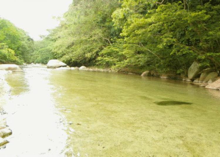 cabaña para grupos grandes en el parque tayrona