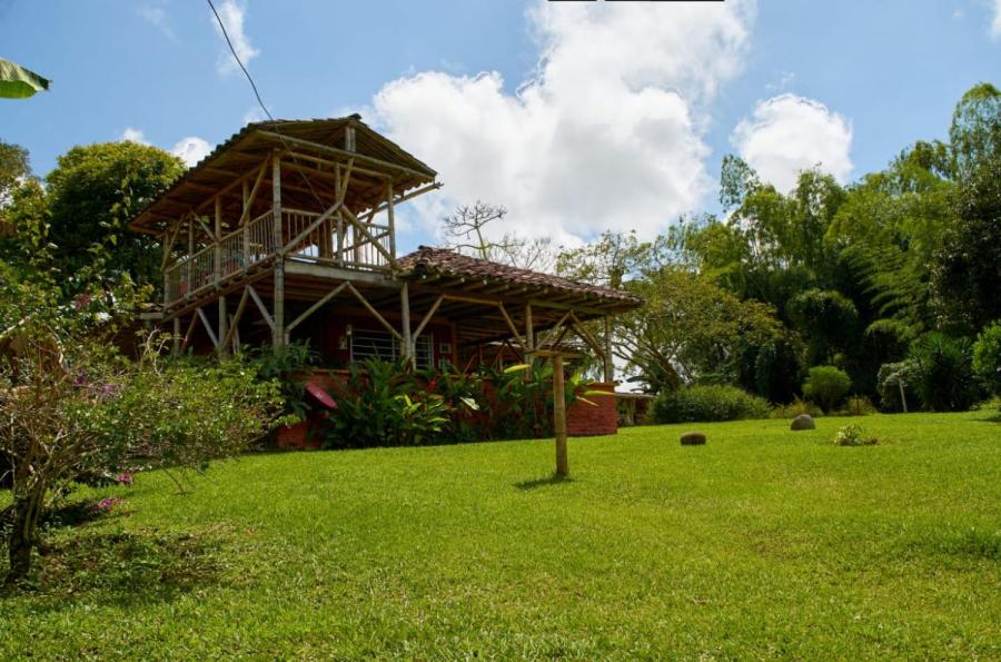 Foto Finca en Venta en La herradura, La Tebaida, Quindío - $ 1.200.000 - FIV205990 - BienesOnLine