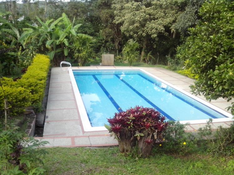 Foto Finca en Venta en Fusagasugá, Cundinamarca - $ 280.000.000 - FIV62011 - BienesOnLine