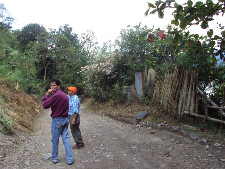 Sasaima, finca de tres fanegadas