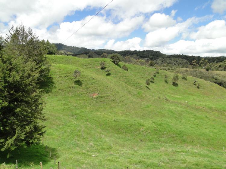 Vendo excelente finca en Santa Rosa de Osos y barata