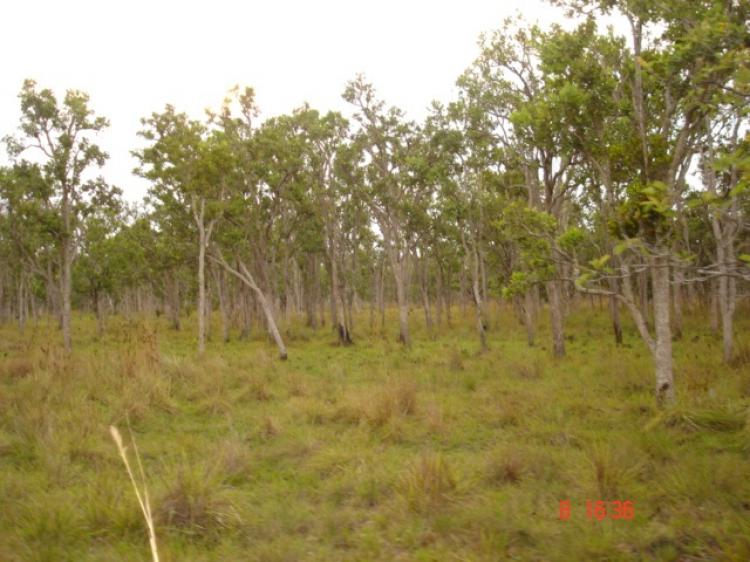 finca en paz de ariporo