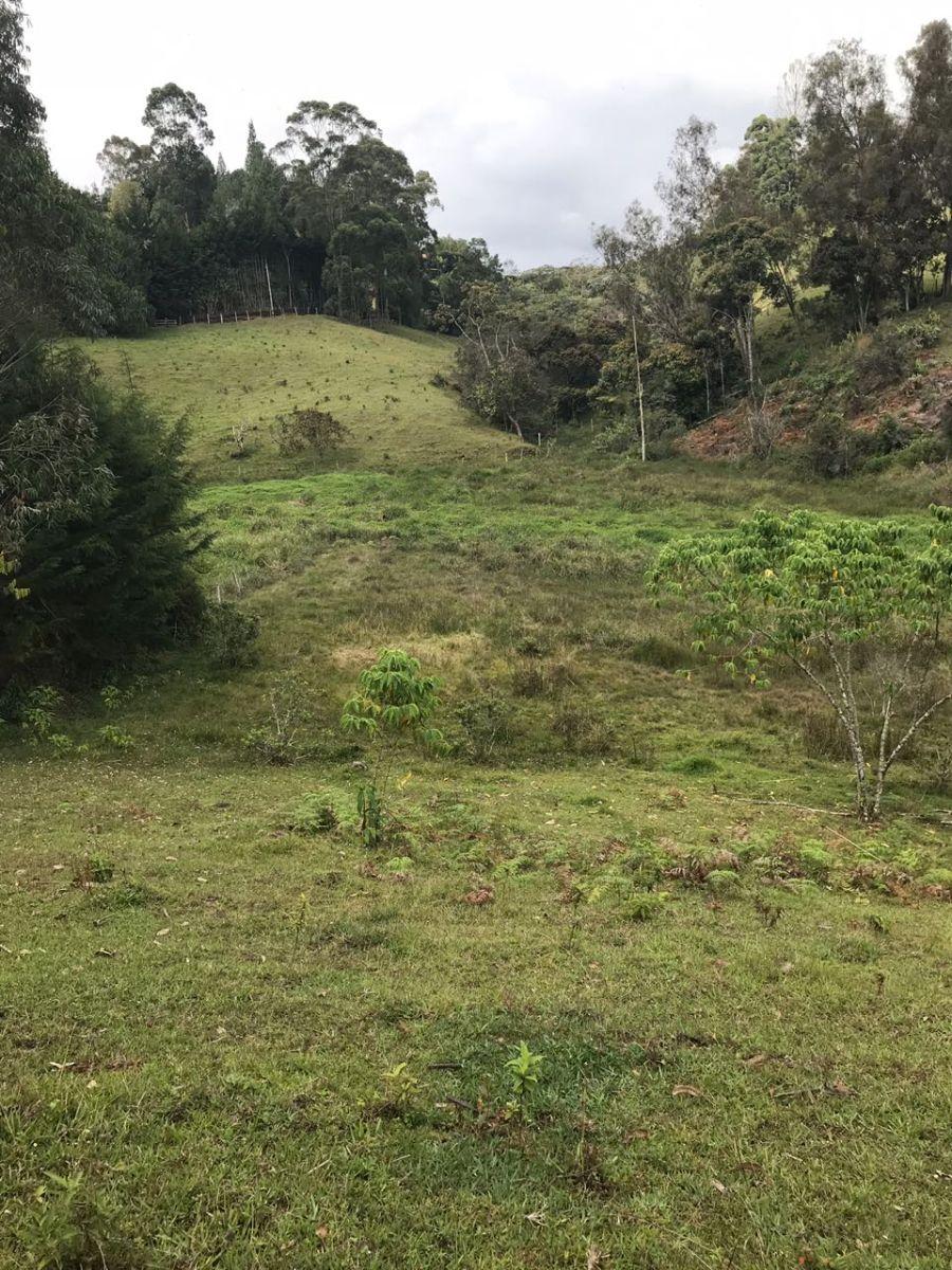 Excelente Oportunidad, lote en Ojo De Agua, El Carmen de Viboral