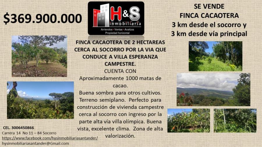 Foto Finca en Venta en Socorro, Santander - 2 hectareas - $ 369.900.000 - FIV196709 - BienesOnLine