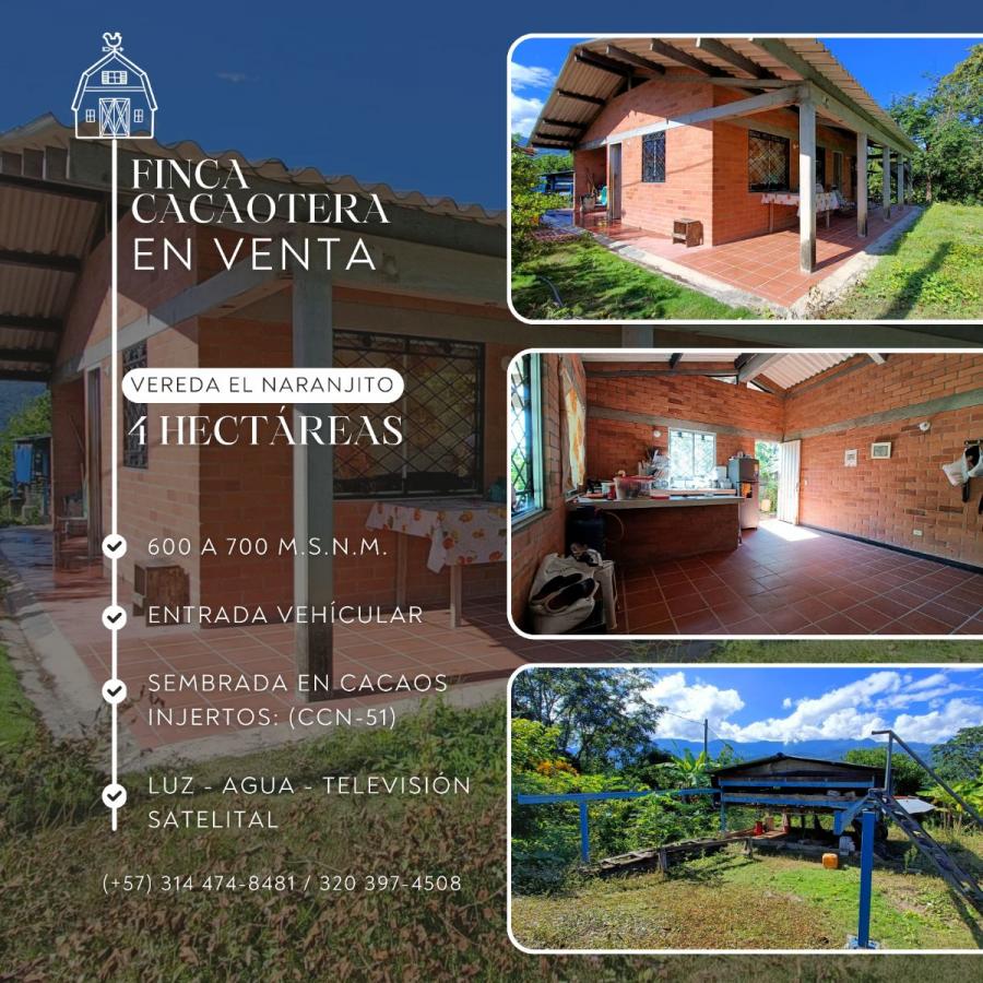 Foto Finca en Venta en San Vicente de Chucurí, Santander - $ 380.000.000 - FIV210262 - BienesOnLine