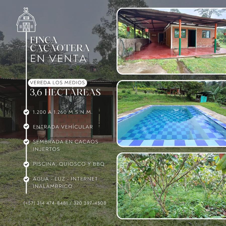 Foto Finca en Venta en San Vicente de Chucurí, Santander - $ 340.000.000 - FIV210743 - BienesOnLine