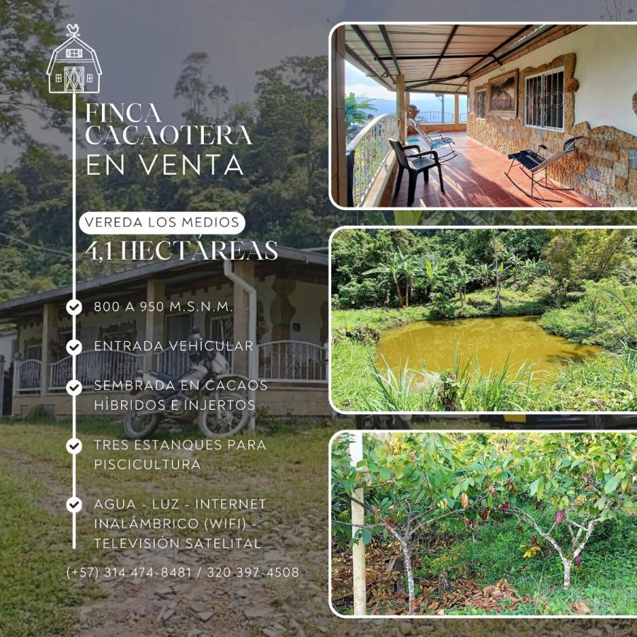 Foto Finca en Venta en San Vicente de Chucurí, Santander - $ 600.000.000 - FIV210745 - BienesOnLine