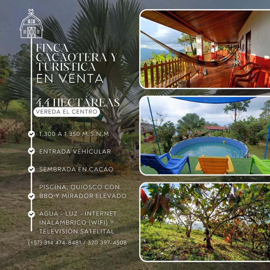 Foto Finca en Venta en San Vicente de Chucurí, Santander - $ 480.000.000 - FIV210551 - BienesOnLine