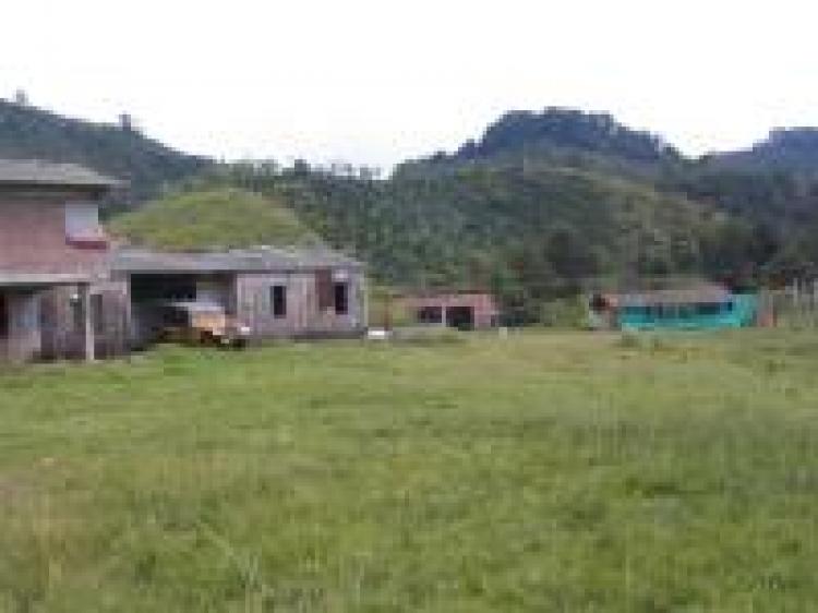 Foto Finca en Venta en SAN LORENZO TULUA, Tuluá, Valle del Cauca - $ 260.000.000 - FIV67200 - BienesOnLine