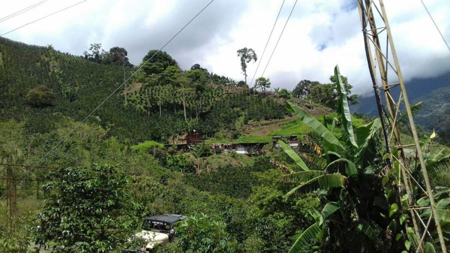 Finca cafetera en Santuario-Risaralda